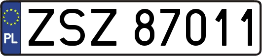 ZSZ87011