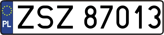 ZSZ87013