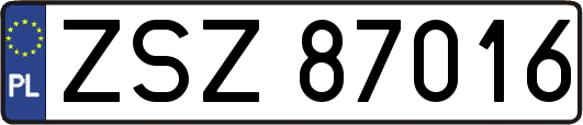 ZSZ87016