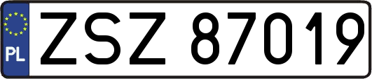 ZSZ87019