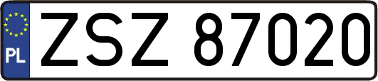 ZSZ87020