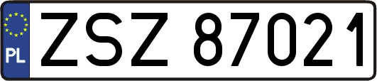 ZSZ87021
