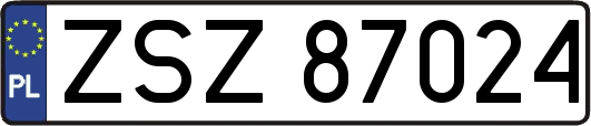 ZSZ87024