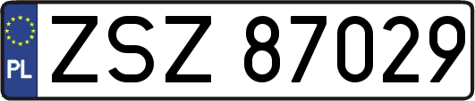 ZSZ87029