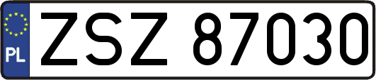 ZSZ87030