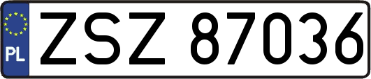 ZSZ87036