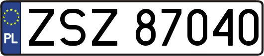 ZSZ87040