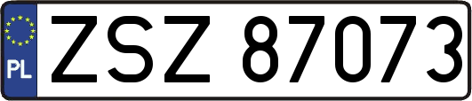 ZSZ87073