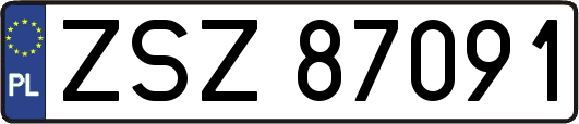 ZSZ87091