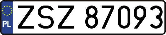 ZSZ87093