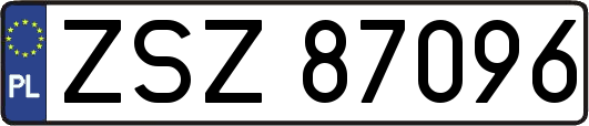 ZSZ87096