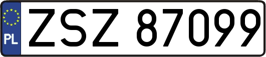 ZSZ87099