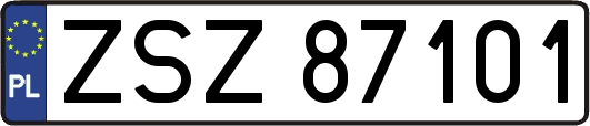 ZSZ87101