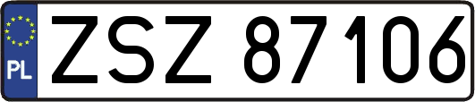 ZSZ87106