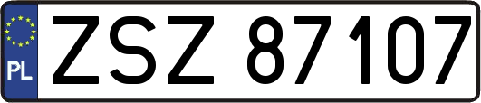 ZSZ87107