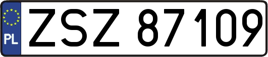 ZSZ87109