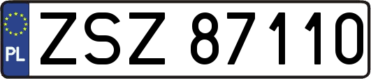 ZSZ87110