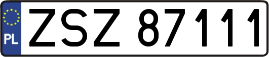 ZSZ87111