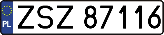 ZSZ87116