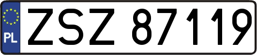 ZSZ87119