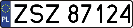 ZSZ87124