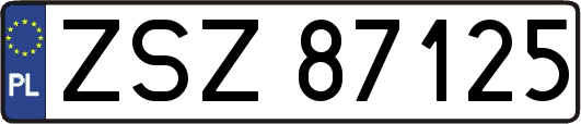 ZSZ87125