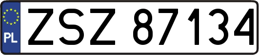 ZSZ87134