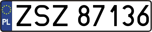 ZSZ87136