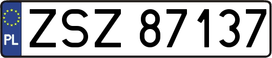 ZSZ87137