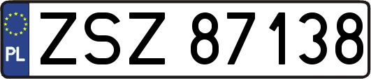 ZSZ87138