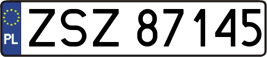 ZSZ87145