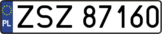 ZSZ87160