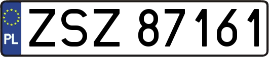 ZSZ87161
