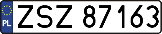 ZSZ87163