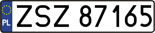 ZSZ87165