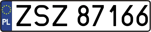 ZSZ87166