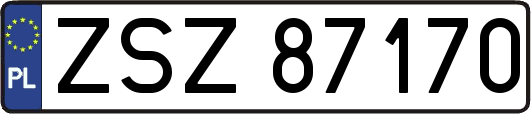 ZSZ87170
