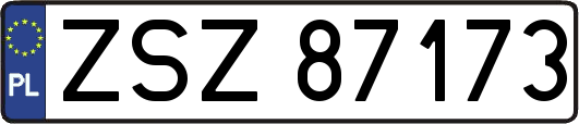 ZSZ87173