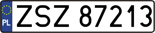 ZSZ87213