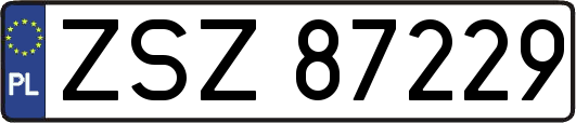 ZSZ87229