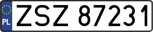 ZSZ87231