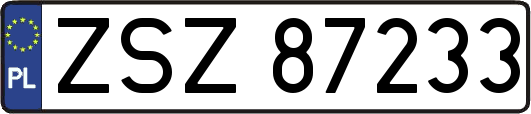 ZSZ87233