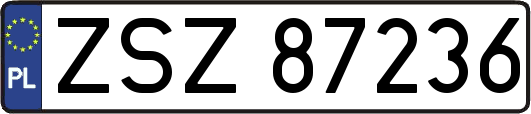 ZSZ87236