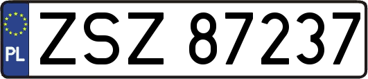ZSZ87237