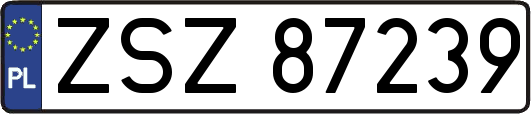 ZSZ87239