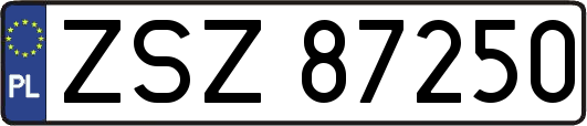 ZSZ87250