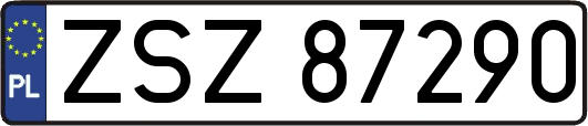 ZSZ87290