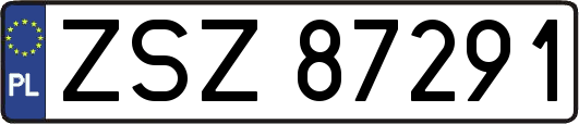 ZSZ87291