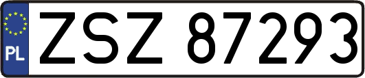 ZSZ87293