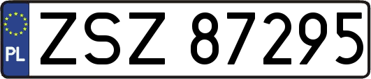 ZSZ87295